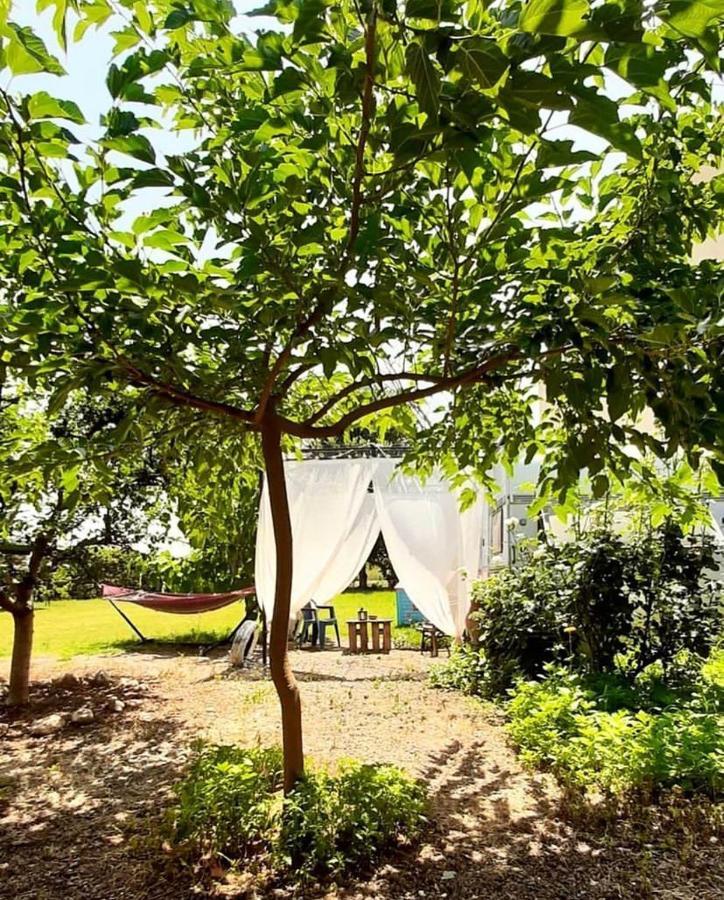 Prive Camping Paradise ปาลาเรีย ดิโอนิซีอู ภายนอก รูปภาพ